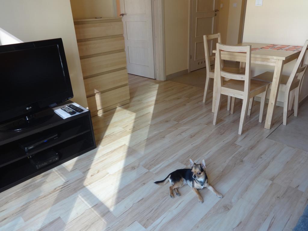 Dream Loft Residence ワルシャワ エクステリア 写真
